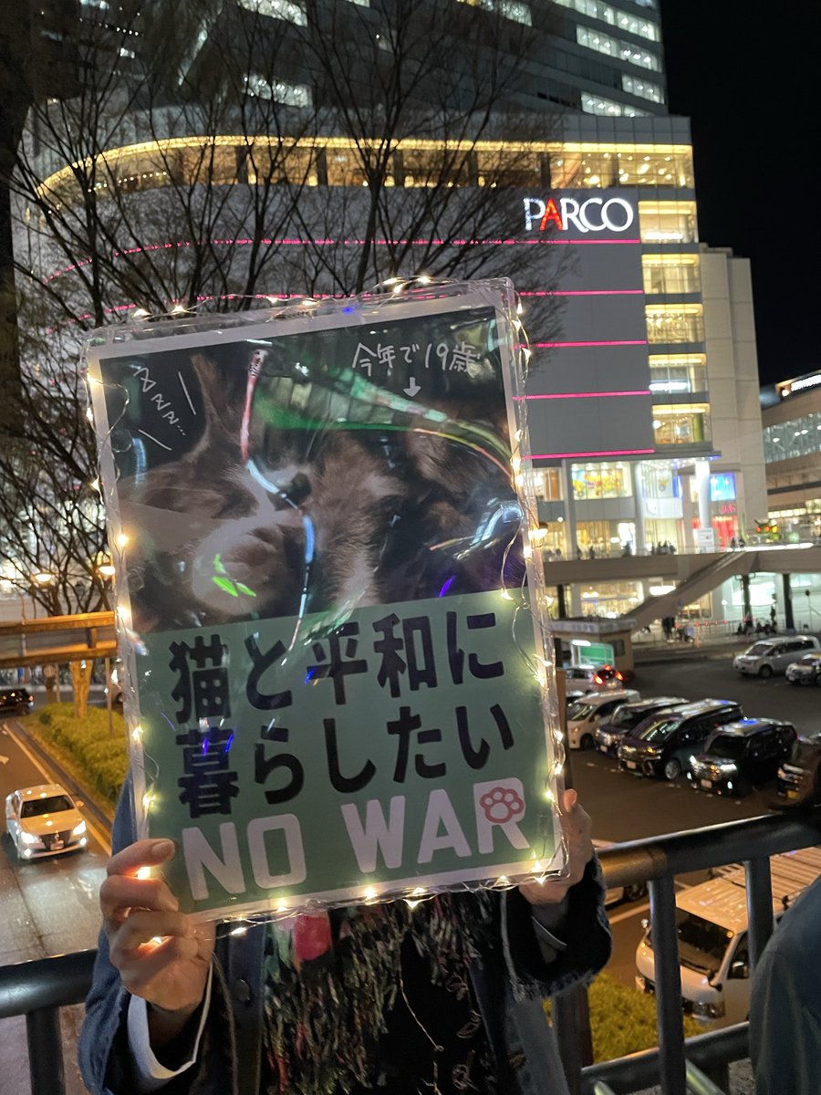 book cafe 火星の庭 tweet media