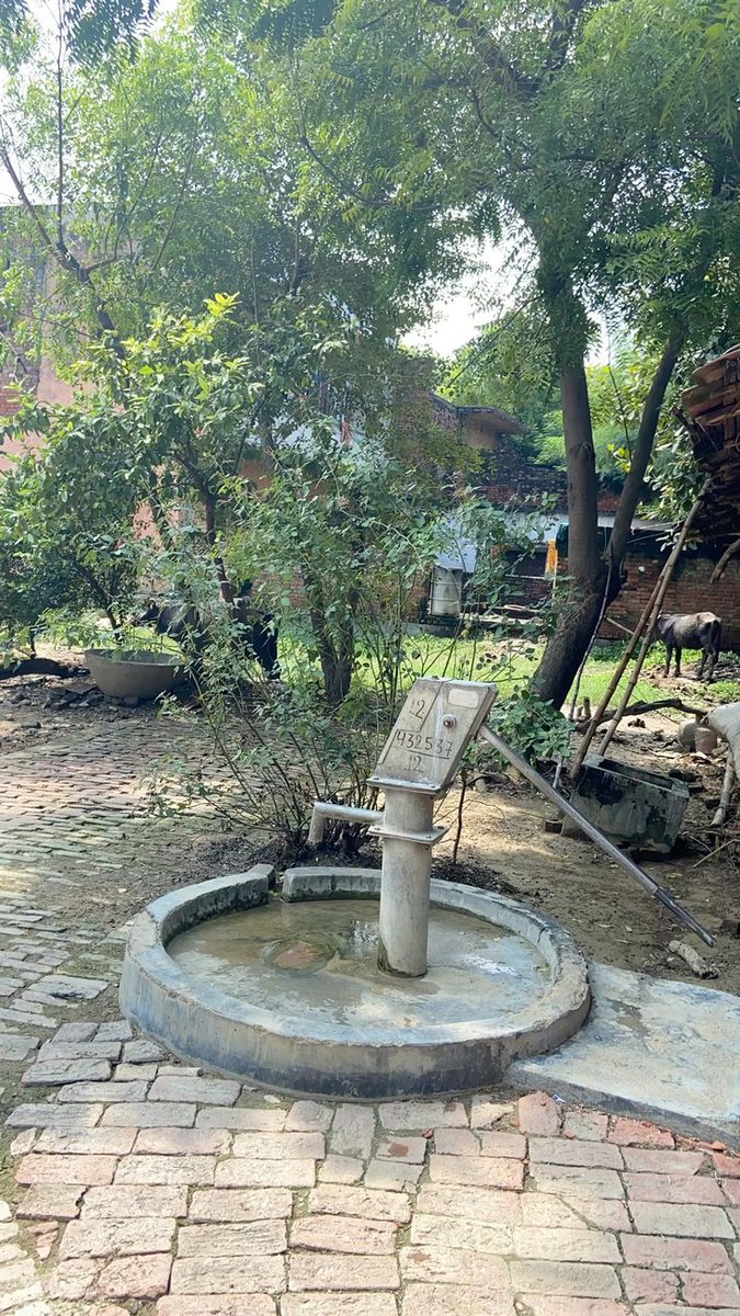 Rani Gupta tweet media