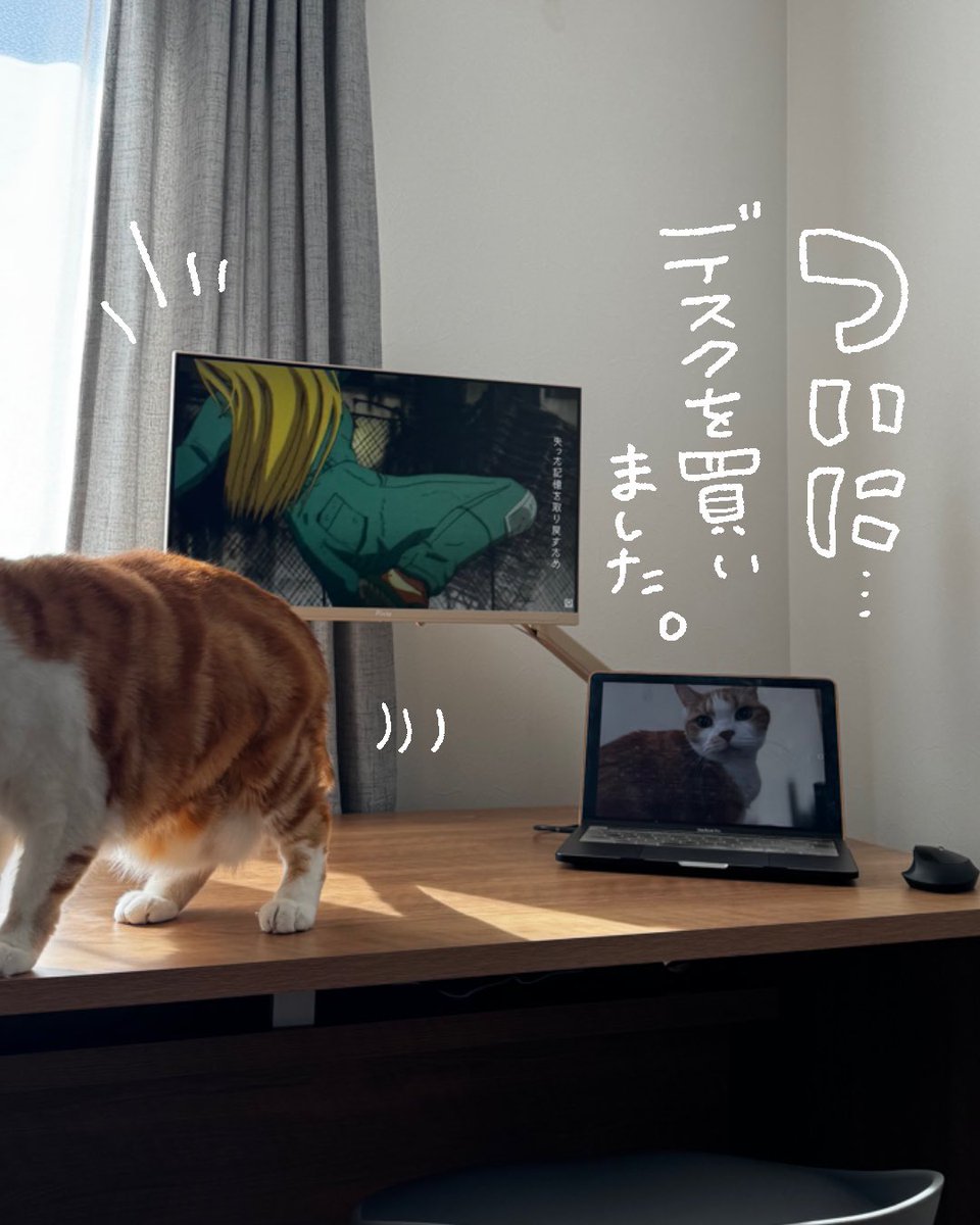 yuyumaru222's tweet image. ついにデスク買いました～！
嬉しいー！
これからガジェットとか収納とか整えて行くぞ✍
 #デスク #desk