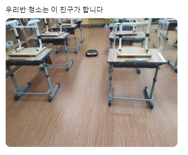 토끼히비키 tweet media