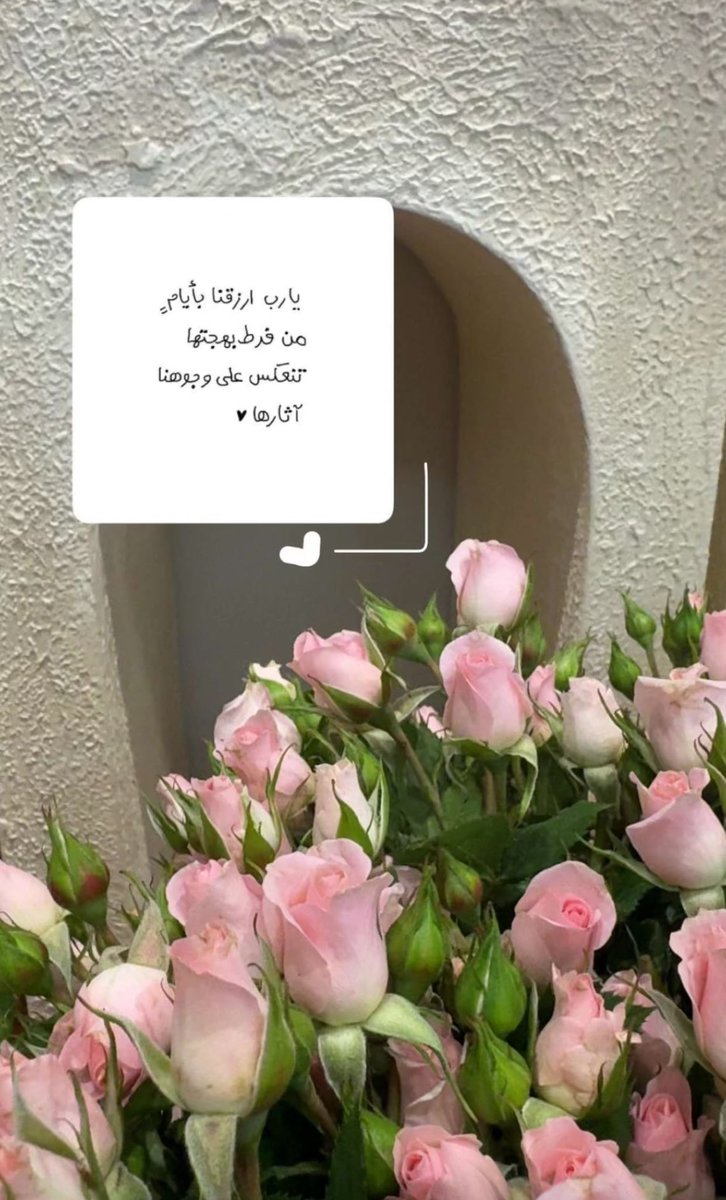 هـند الحـبـسي tweet media