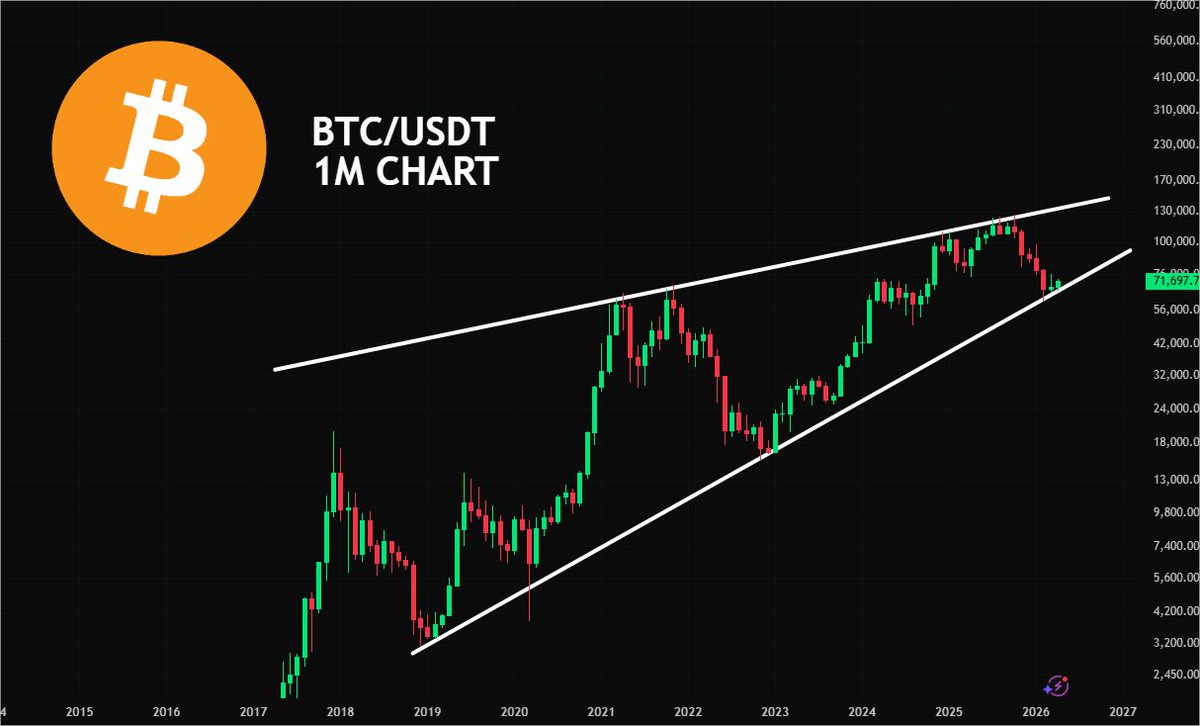 ONE LOVE VEGAN ❤️💚💛 tweet media