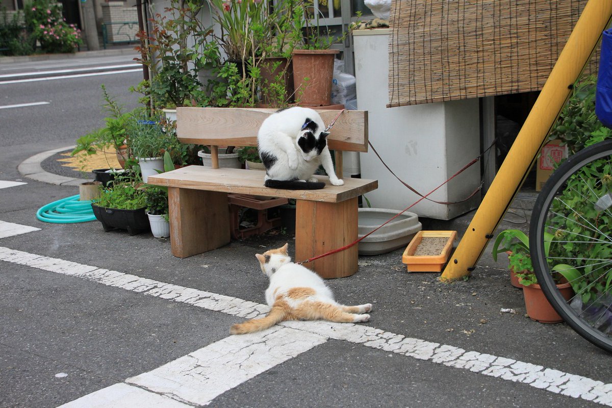 deepannai's tweet photo. 【江東区の昭和】
地下鉄半蔵門線住吉駅から南へ500メートル。清洲橋通り・四ツ目通りが交わる江東区扇橋の扇橋二丁目交差点。その角にあるのが「扇橋商店街」

商店街とは言うものの見た目には完全に戦後のバラックかと思えるような古びた一画があり、昔ながらの個人商店が細々と営業している場所だ。商店街に背を向ける形で江東公園があり、商店街の建物を裏側から眺められる

ここにも荻窪銀座街と肩を並べるほどのキョーレツに不潔極まりない便所があり、小便器はトタンの壁に直接放尿する形で凄まじい悪臭が漂っていた。現在も多少は建物が建て替えられた部分はあるが、現存している模様

（2011年撮影）