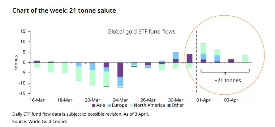 ONE LOVE VEGAN ❤️💚💛 tweet media