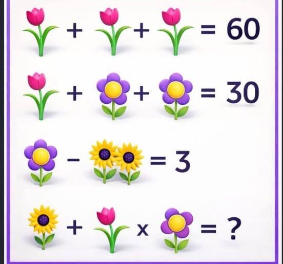 المعلم زكي tweet media