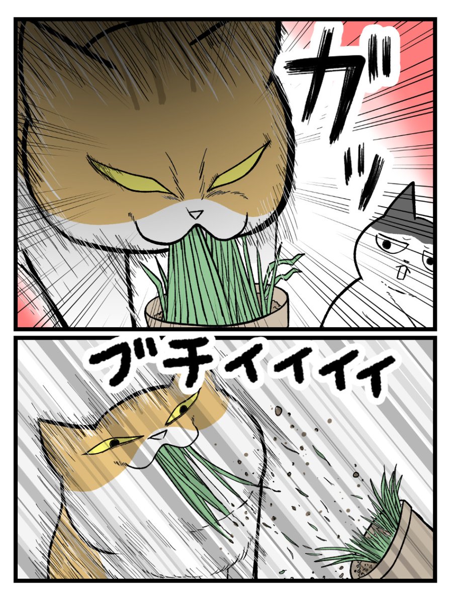 (2/2) 