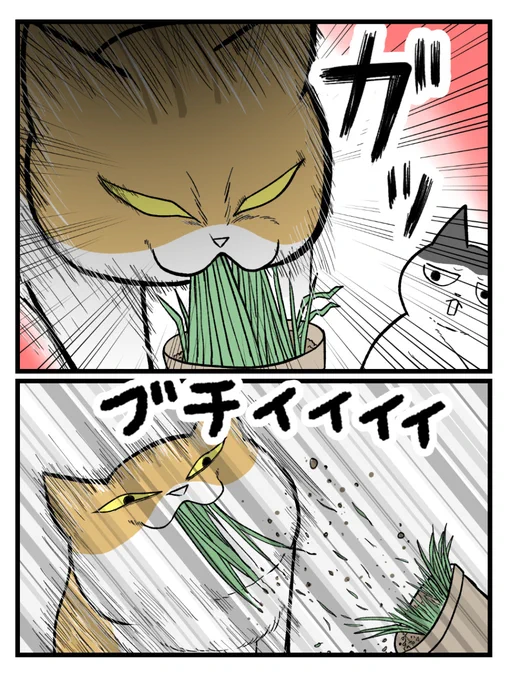 (2/2) 