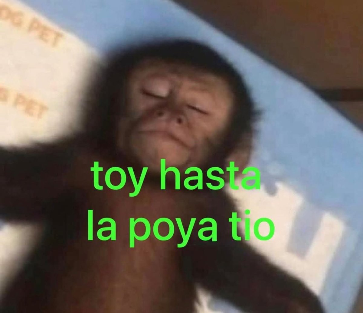 Nasty Poet tweet media