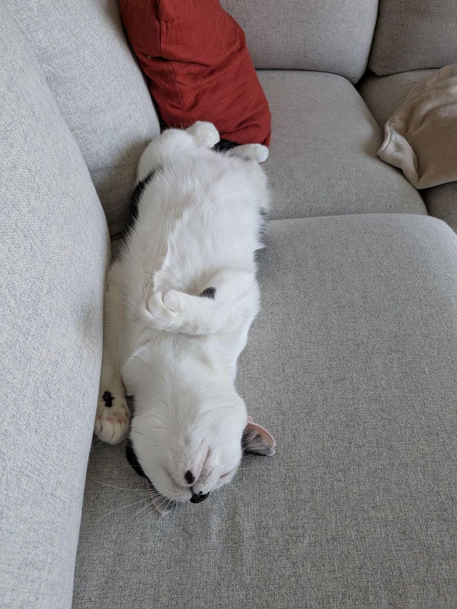 ファーレイ株式会社 tweet media