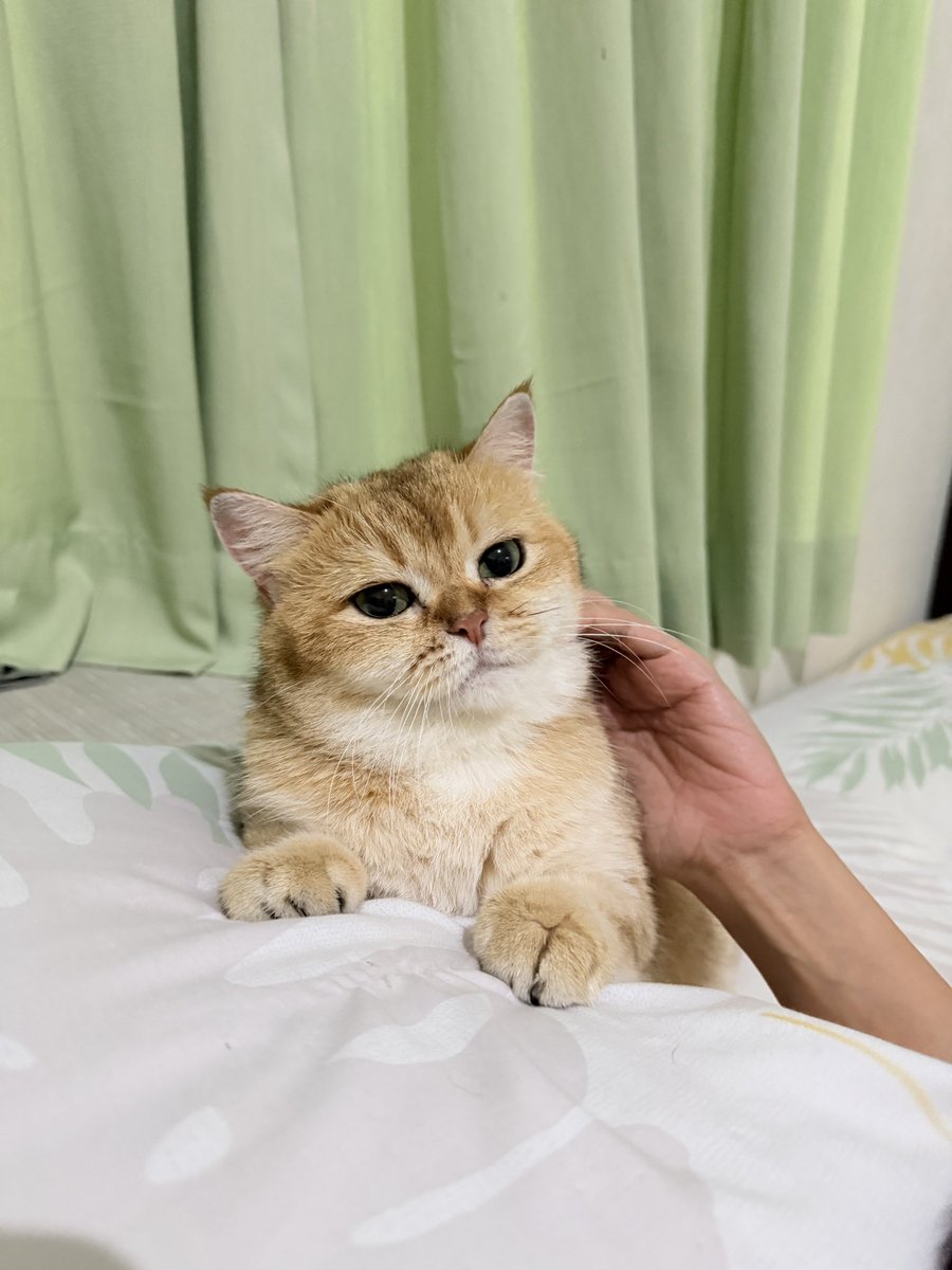 Nastar & Kara tweet media