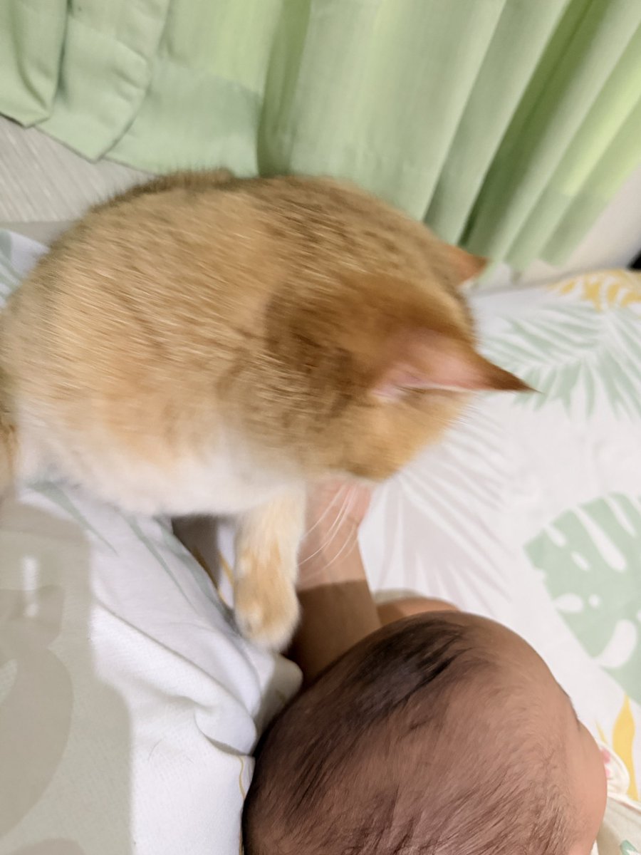 Nastar & Kara tweet media