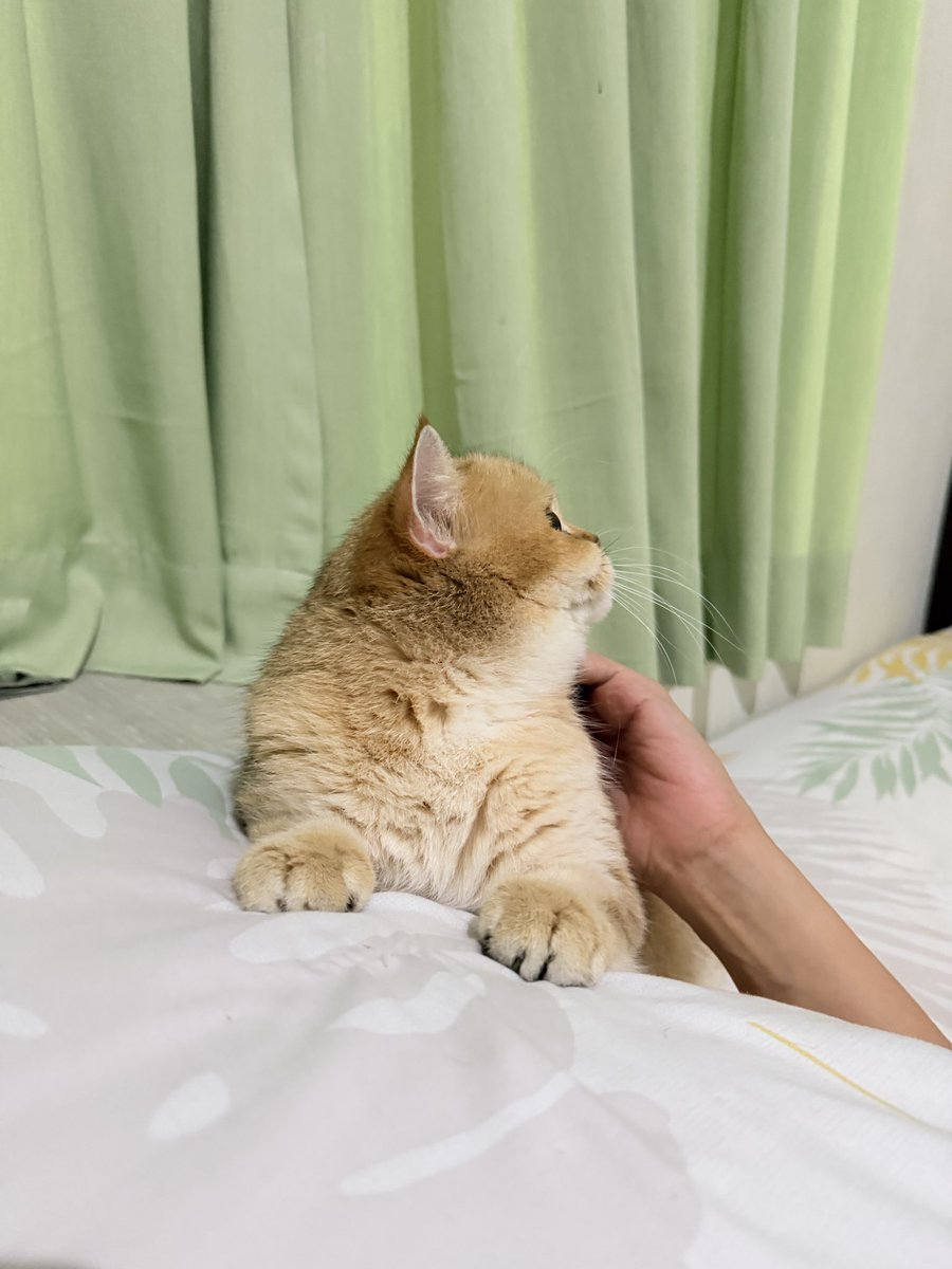 Nastar & Kara tweet media