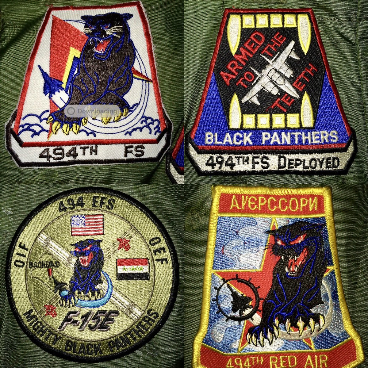 494fs 494th Fighter Squadron “Panthers” LNのストライクイーグル🦅 2011年横田基地友好祭に地上展示で参加。機材 ...