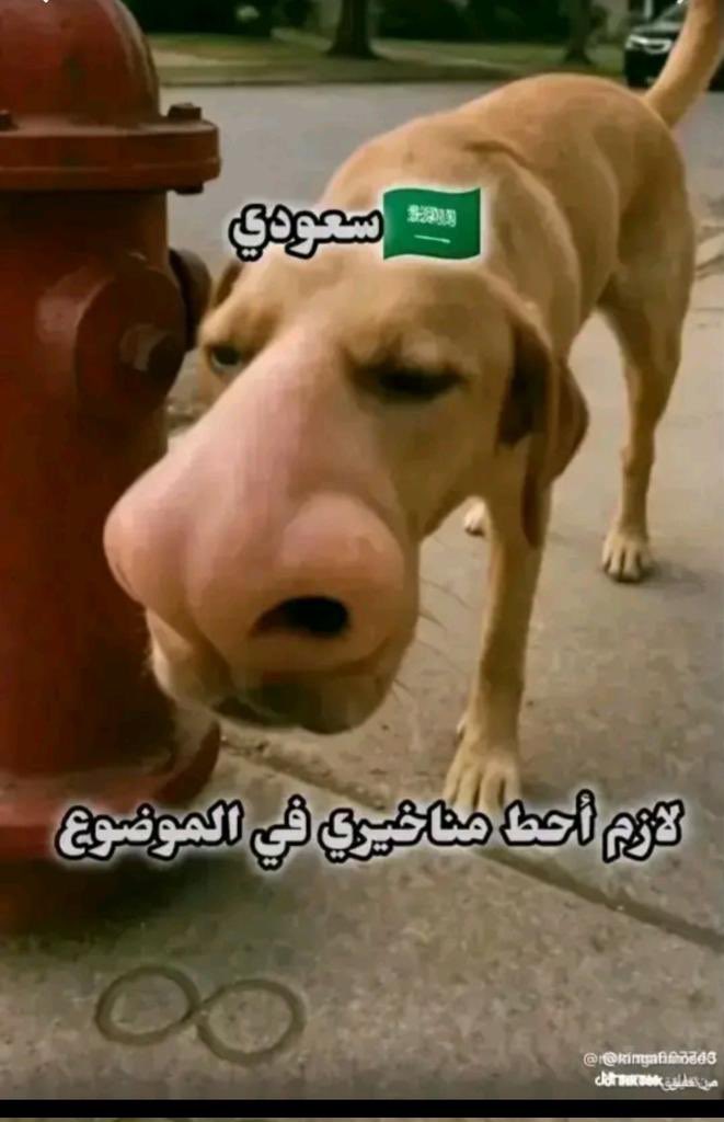 Abdulla Alshamsi 🇦🇪 tweet media