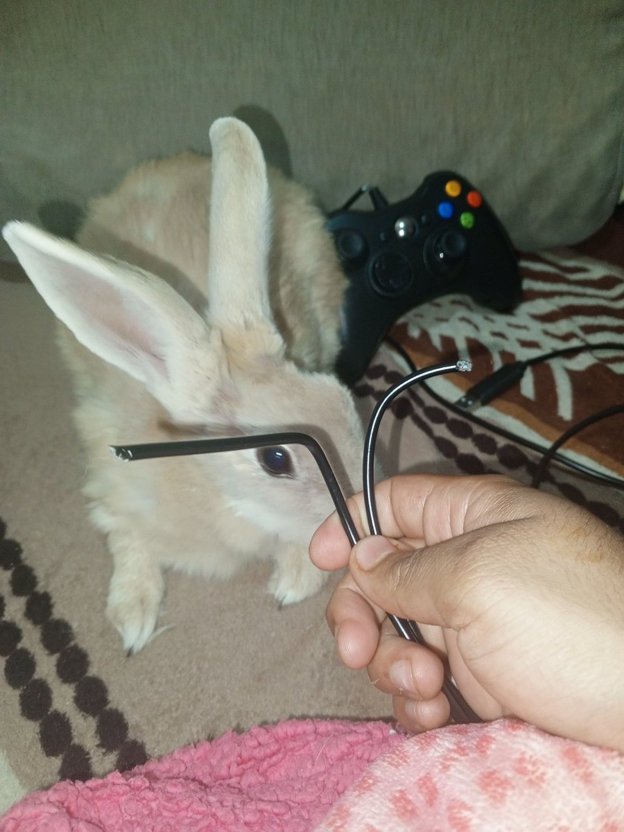 El escritor cualquiera tweet media