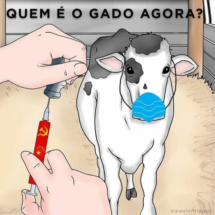 Alessandro tweet media