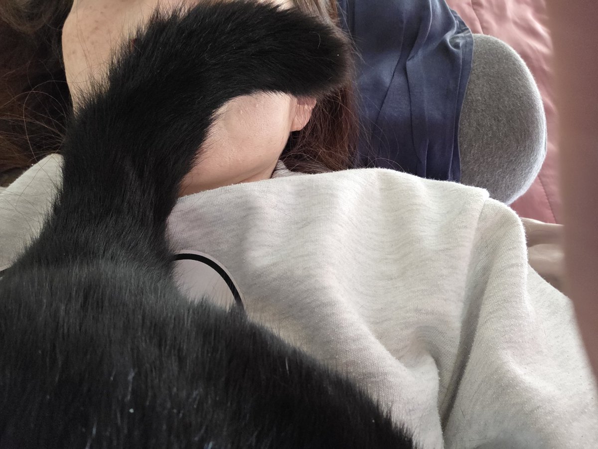 💜RAY💜 tweet media