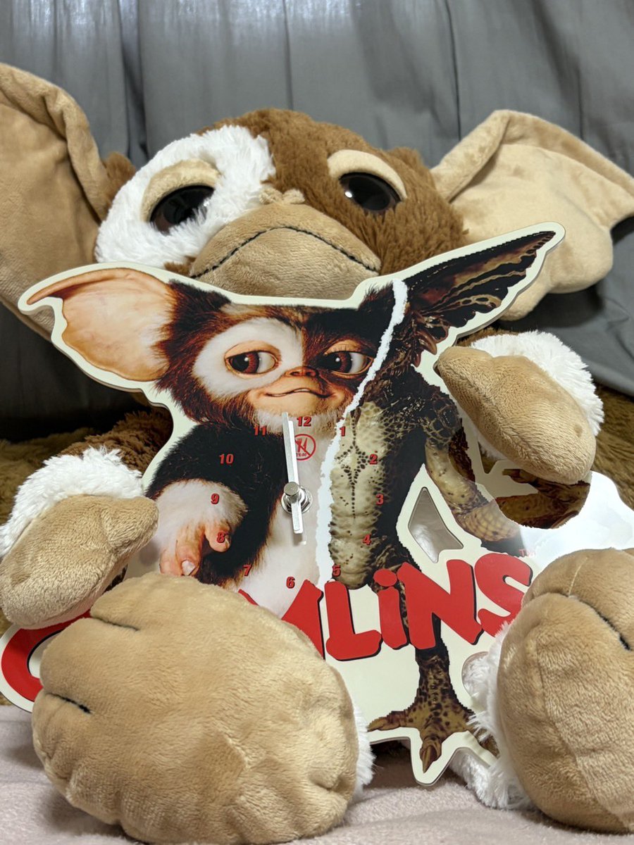 ぽち🐶 tweet media