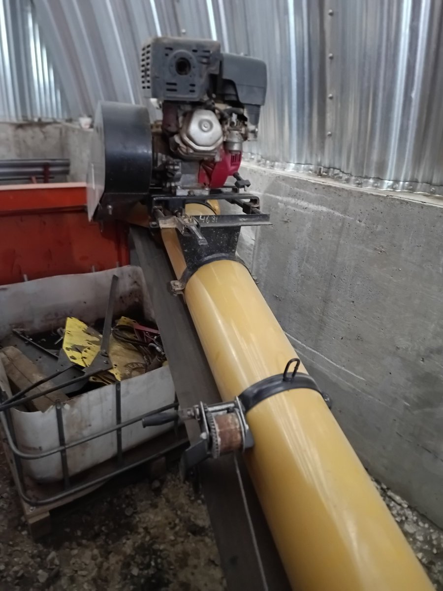 Kelsey Solick tweet media