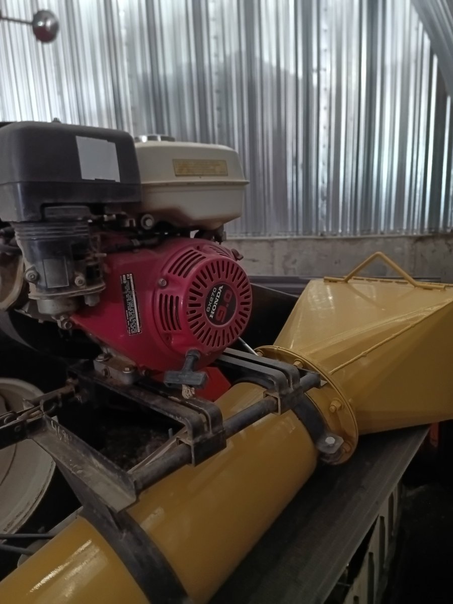 Kelsey Solick tweet media