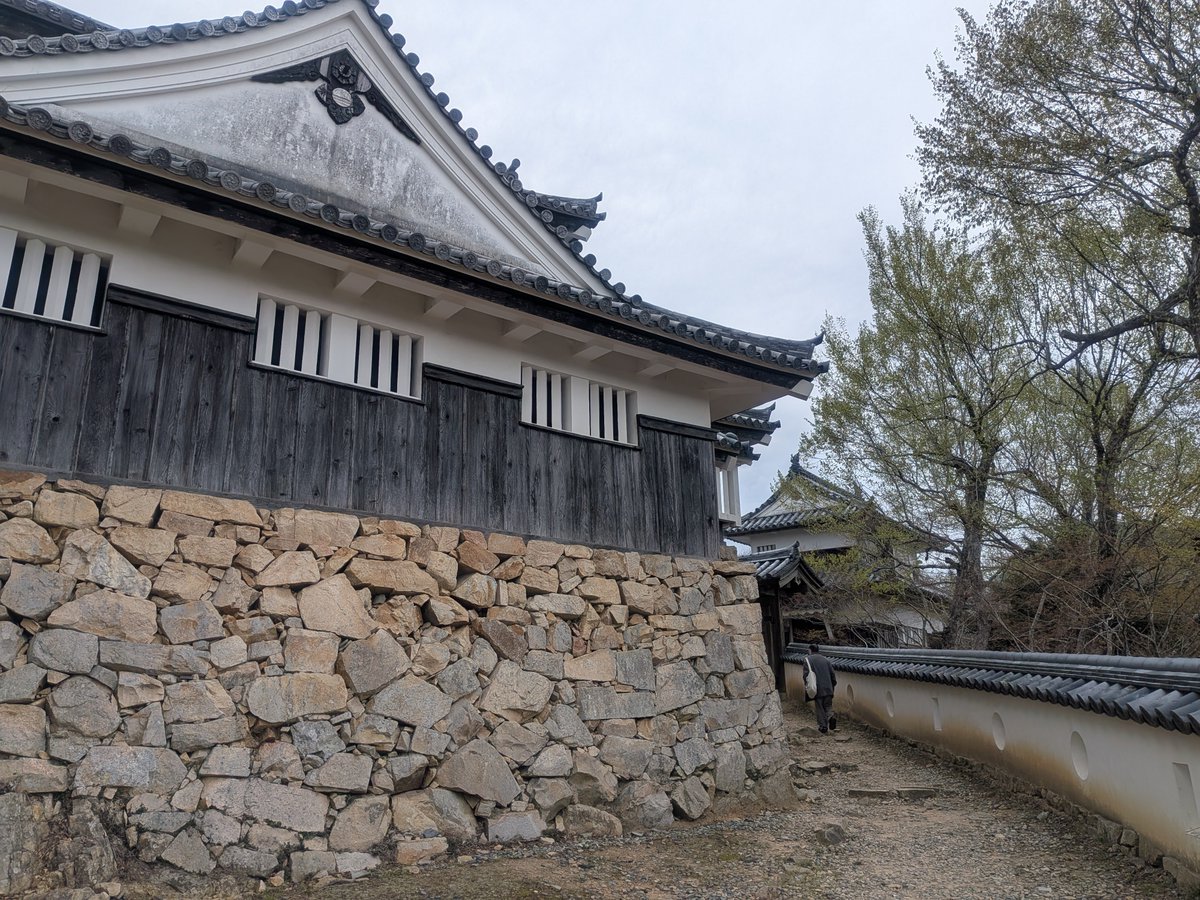 ぴんきー（実はぴょんきー）🐺💛 tweet media