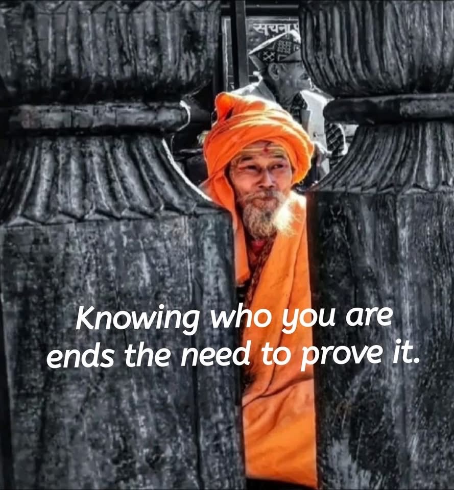 🧬Maxpein🧬 tweet media