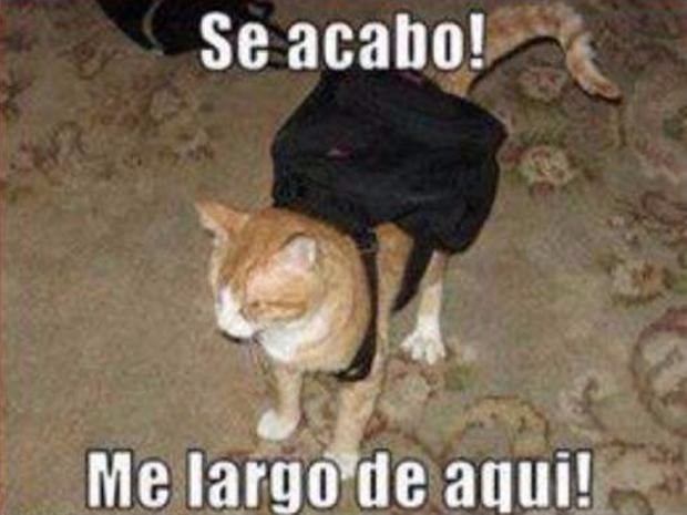 Louis Cyphre tweet media