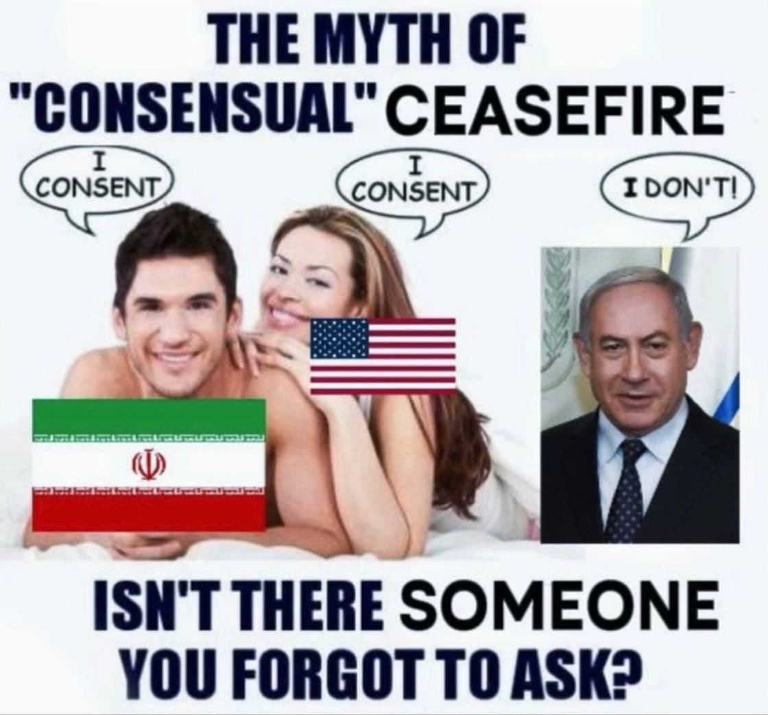 National Conservative tweet media