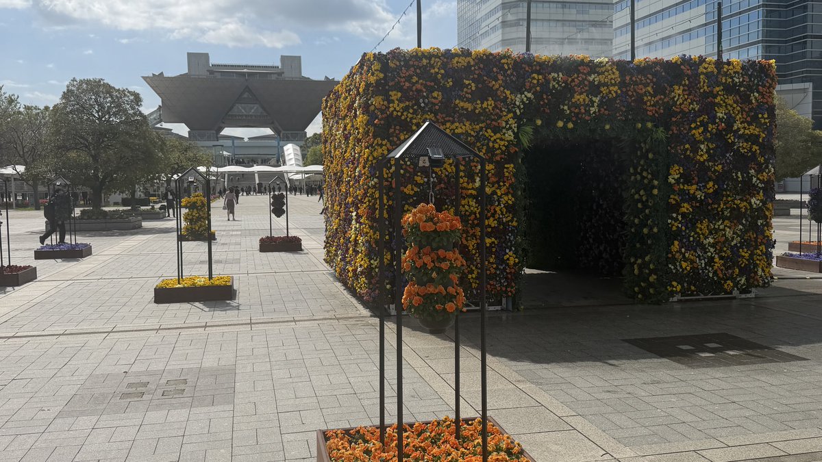 エアドリブル tweet media