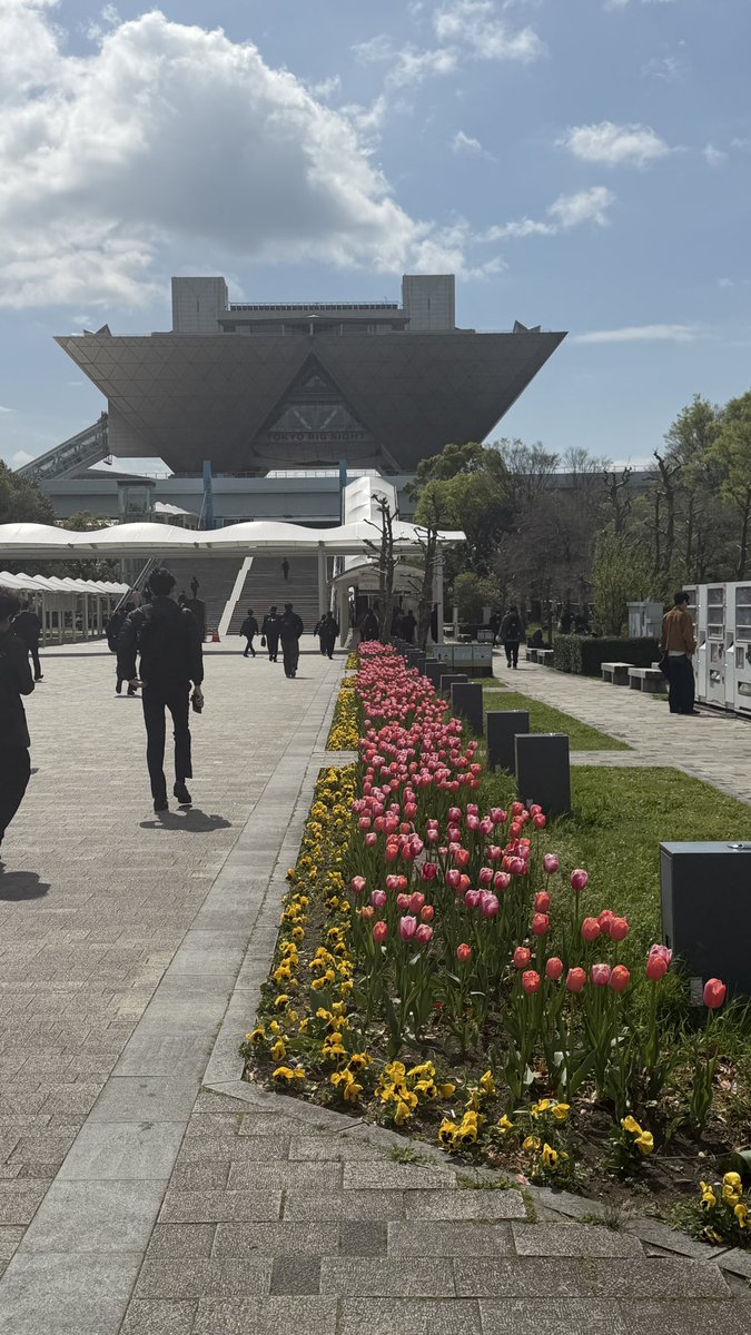 エアドリブル tweet media