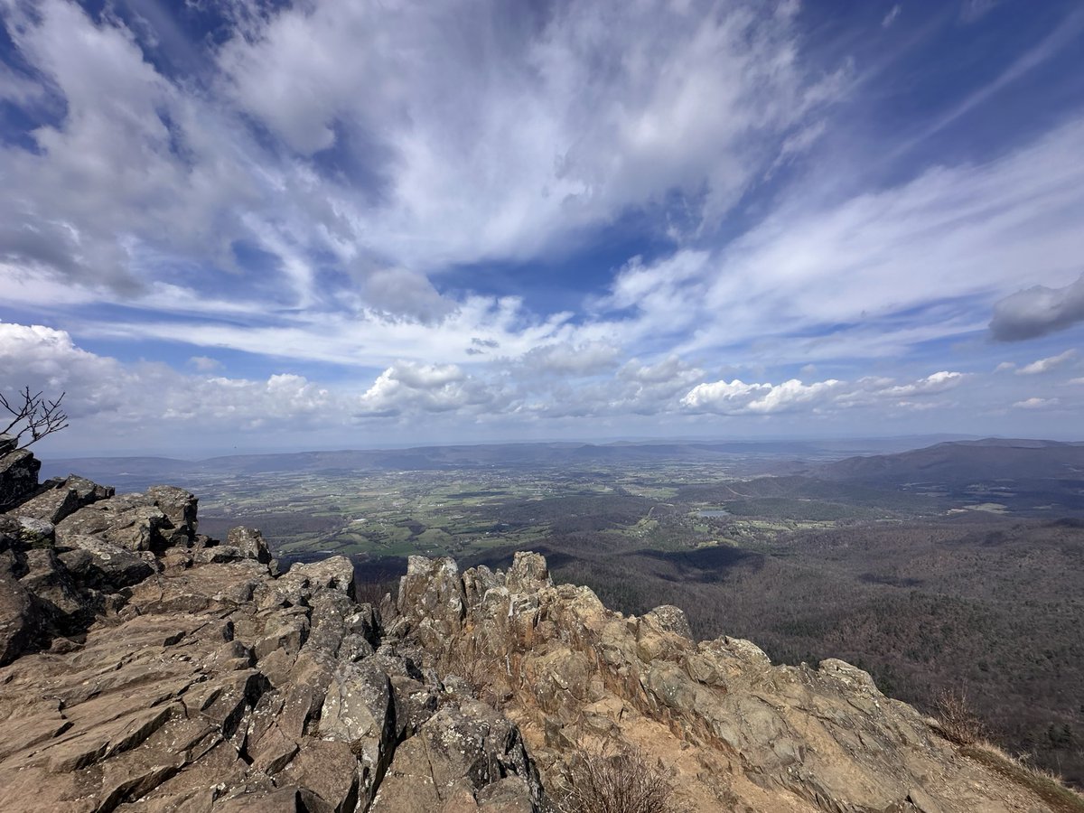 Brianna Charles tweet media