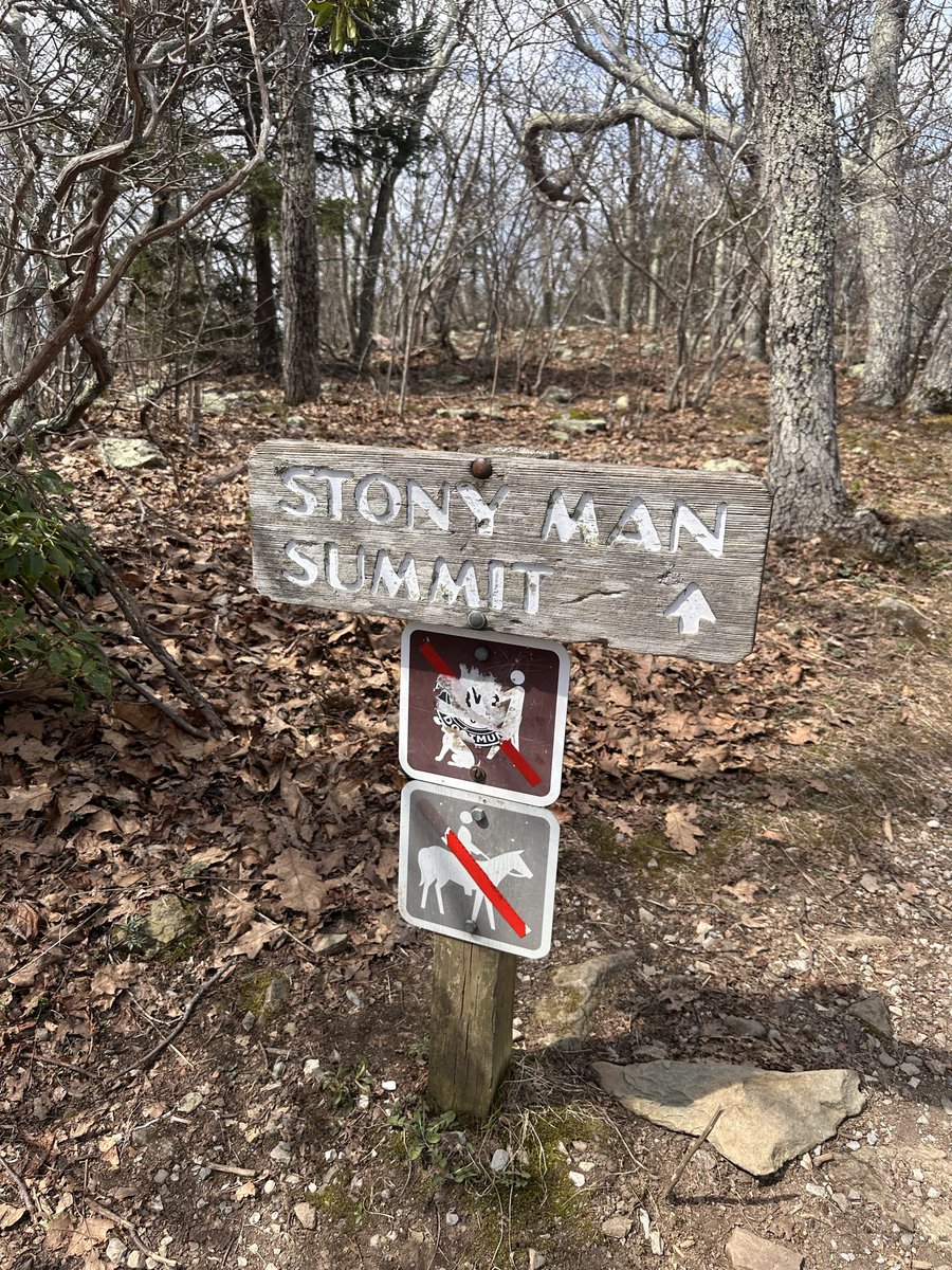 Brianna Charles tweet media