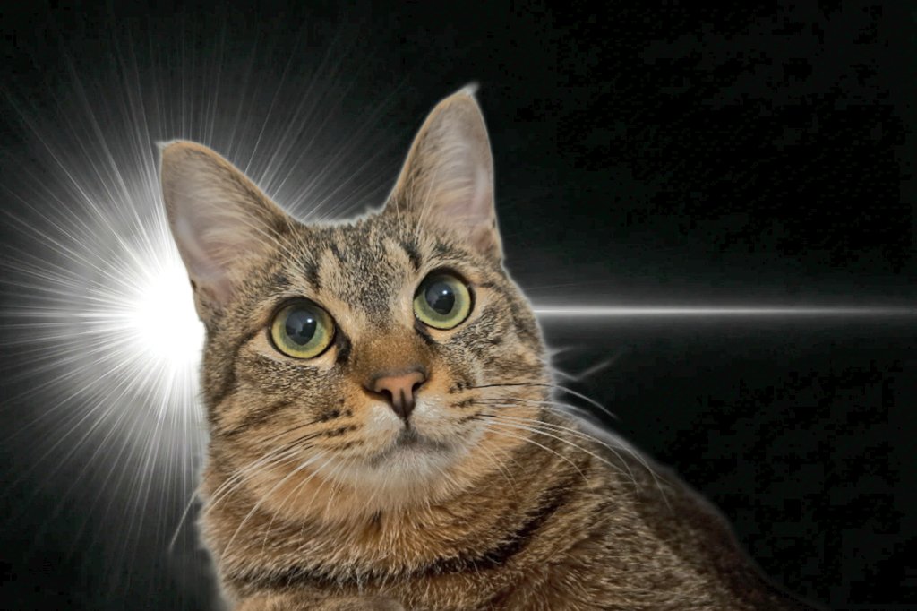 ばぶさか tweet media