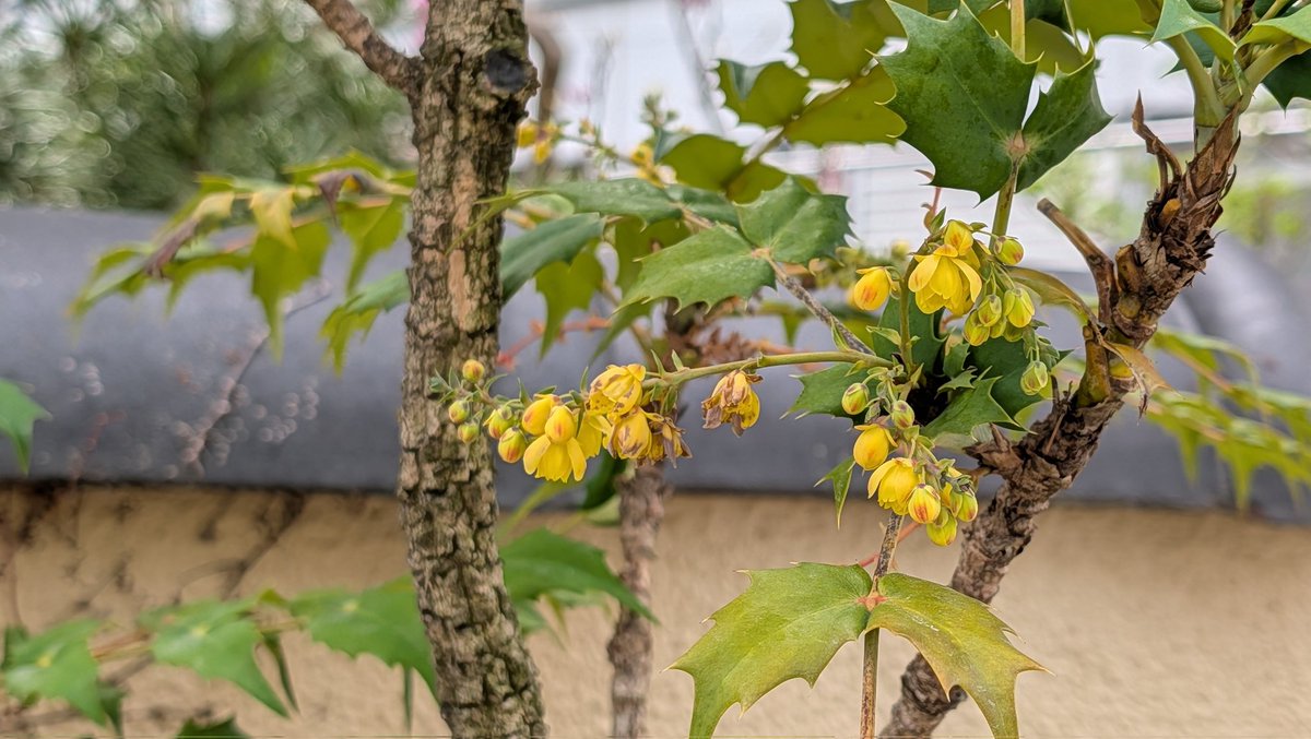 leica_elmar tweet media