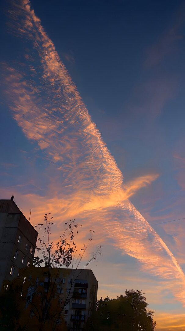 Mobile Legends Menfess tweet media