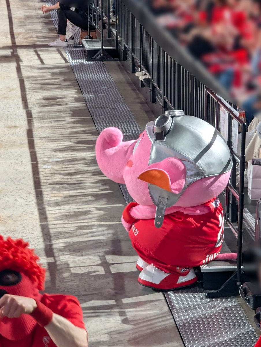 この丸い感じのジャンボくんがまた可愛い😍
ドーナツの真ん中食べ過ぎかもね🤣