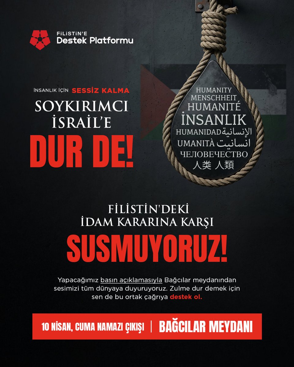 Seçkin TURAN 🇹🇷 tweet media