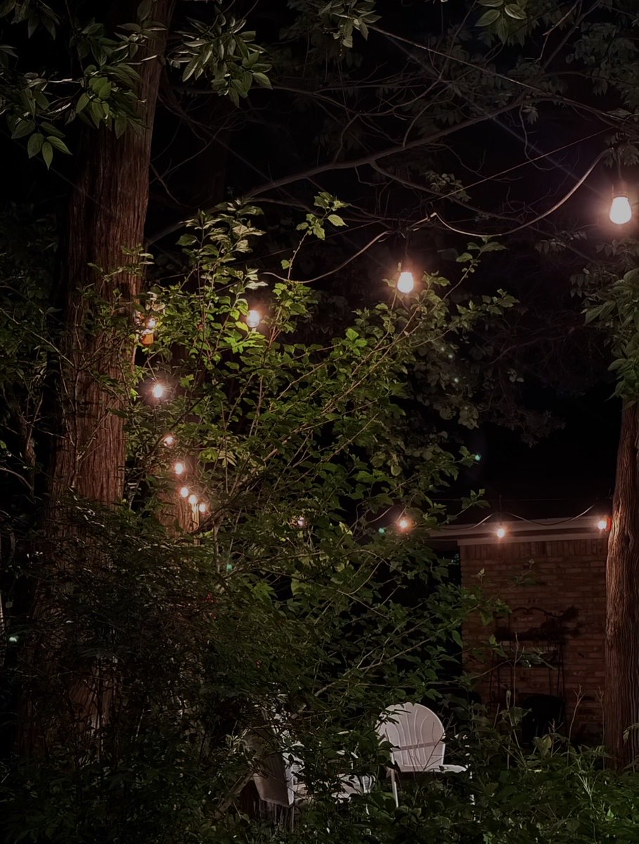 Caroline tweet media