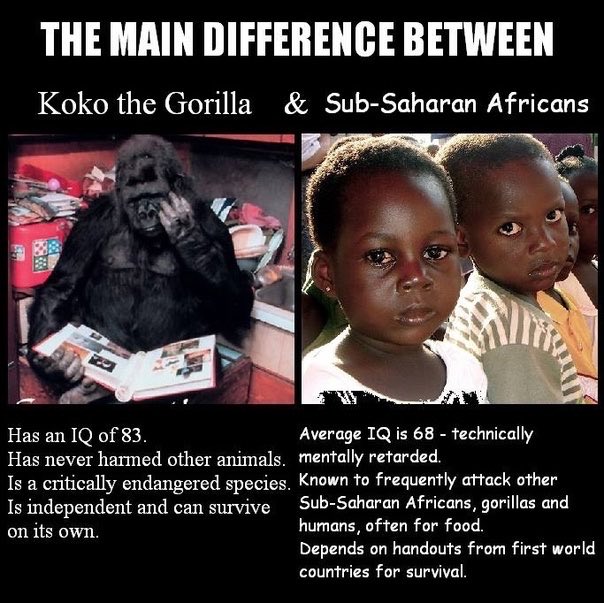 Michael Alvarado tweet media