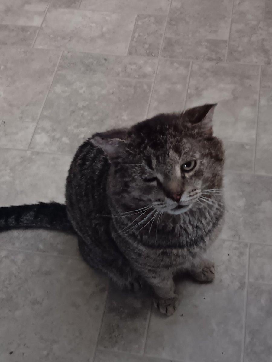 GEldridge12's tweet photo. Check out Gerri Mae's video! #TikTok https://t.co/mbMRhmoAmi https://t.co/dyt4GOaEl2