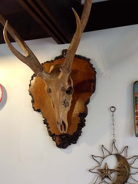 月森雅子 tweet media