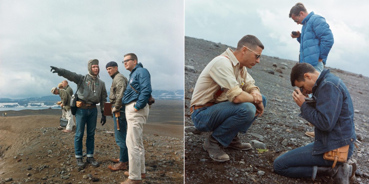 derek guy tweet media