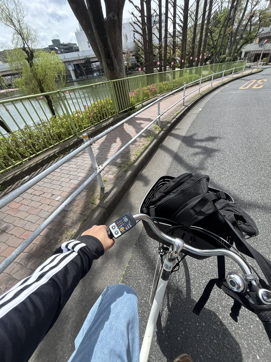 本せどりを頑張るラモスの仕入ぜーんぶ tweet media