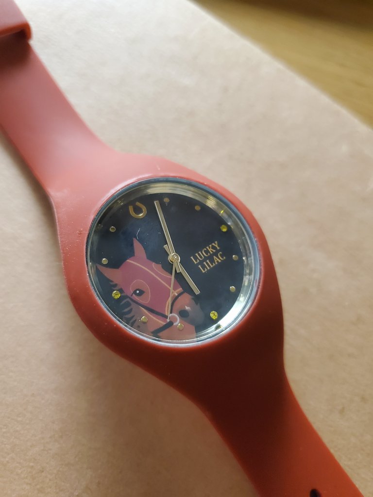 あらびあー太‼️ tweet media