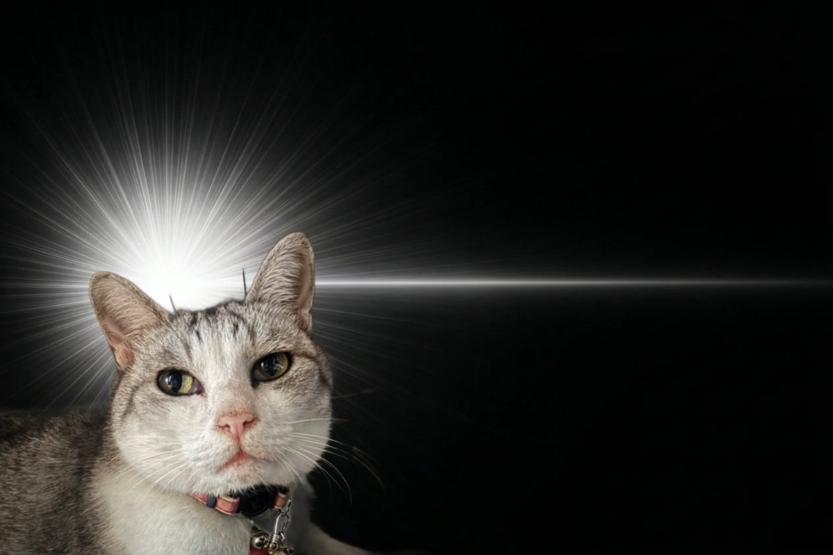 妙心寺壽聖院（寿聖院）@石田三成一族の菩提寺 tweet media