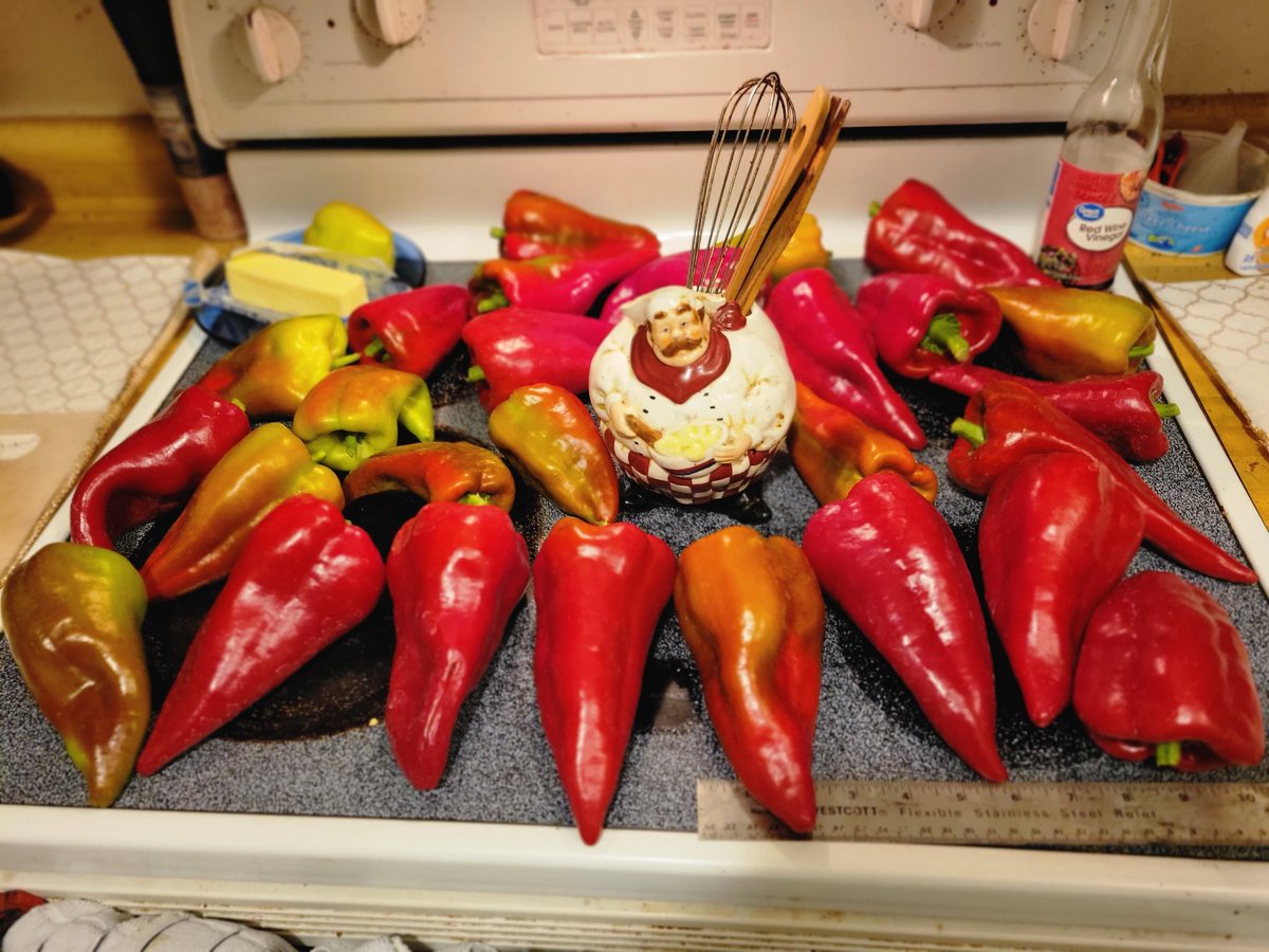 trainwreckradio's tweet photo. @sonerjetsfan  @ChrisStapleton, and Beaver Dam Peppers I grow anually. Ask me how! https://t.co/NHbpcT1jum