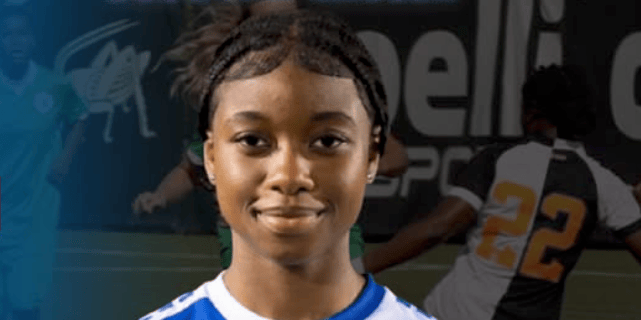 Tages-Anzeiger tweet media