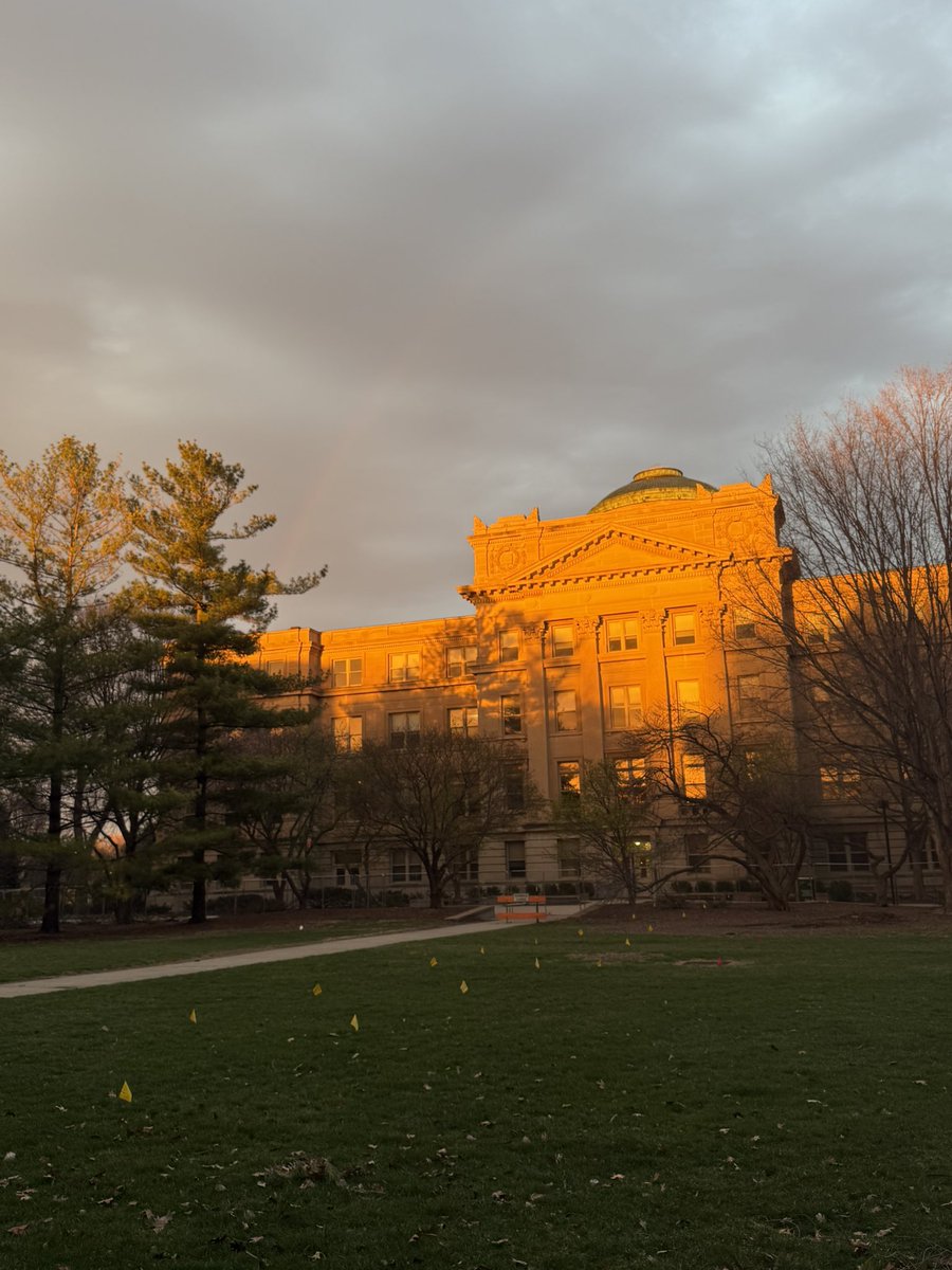 emi ૮ • ﻌ - ა tweet media