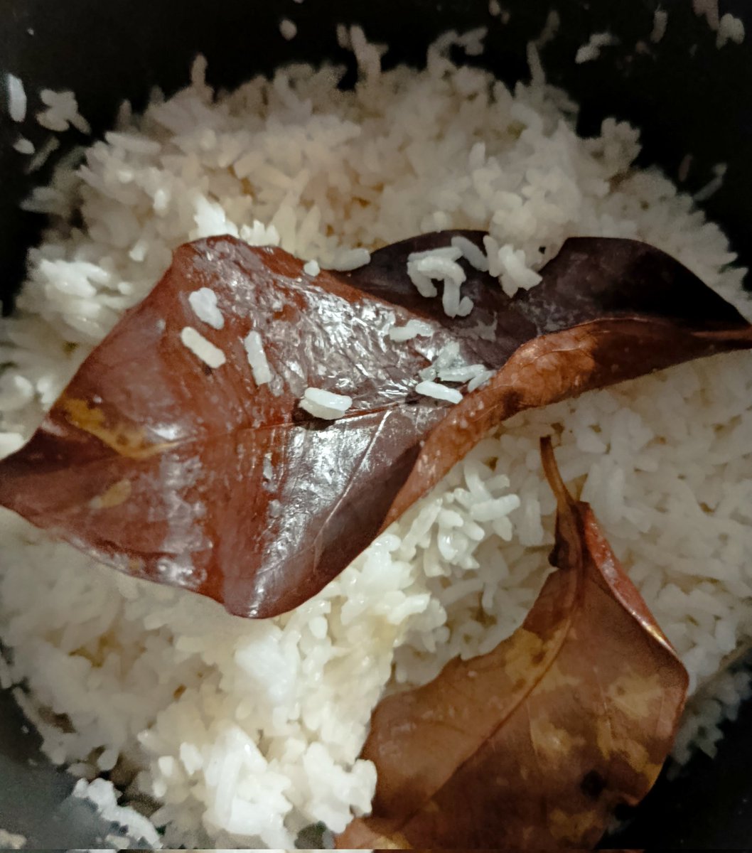 Kalau masak Nasi suka pakai Daun salam engga? 
kalau aku sih wajib hehehe 🐼✌