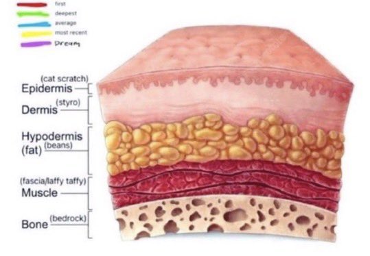 August | SHed ᵗʷᵗ tweet media